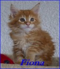 fiona